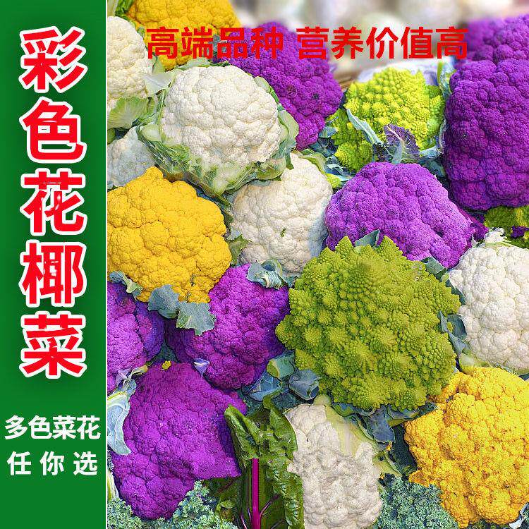 紫色花椰菜 新人首单立减十元 22年7月 淘宝海外