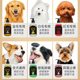 Dog shower gel, anti-itch, deodorant, long-lasting fragrance, special pet shampoo and bath gel, golden retriever teddy pet daily necessities