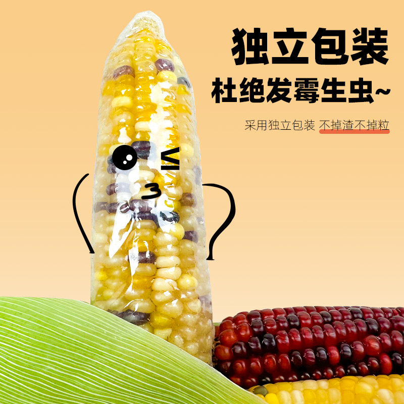 仓鼠零食小玉米磨牙棒宠物磨牙棒金丝熊花枝鼠粮食龙豚鼠营养主食,淘宝优惠券,粉丝福利购,淘宝优惠卷