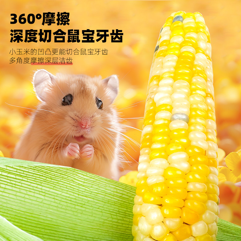 仓鼠零食小玉米磨牙棒宠物磨牙棒金丝熊花枝鼠粮食龙豚鼠营养主食,淘宝优惠券,粉丝福利购,淘宝优惠卷