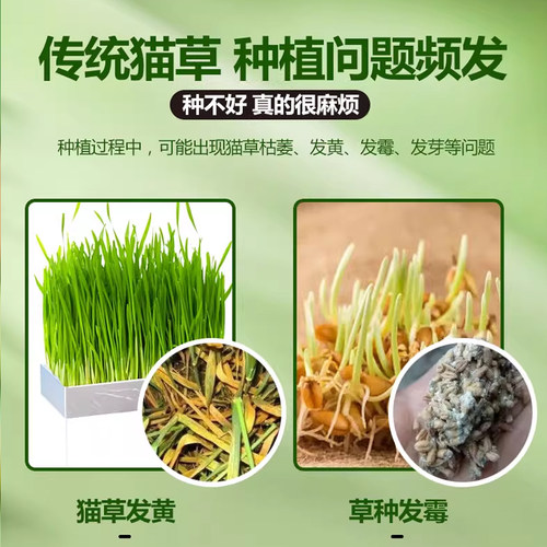 猫草薄荷饼干助排毛化毛猫草棒幼猫补充营养冻干猫草粒块宠物零食 - 图3