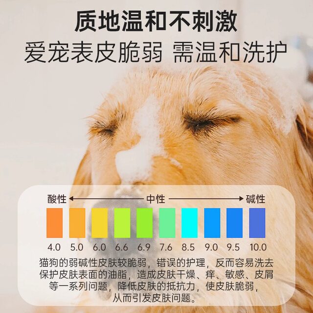 Dog shower gel, anti-itch, deodorant, long-lasting fragrance, special pet shampoo and bath gel, golden retriever teddy pet daily necessities