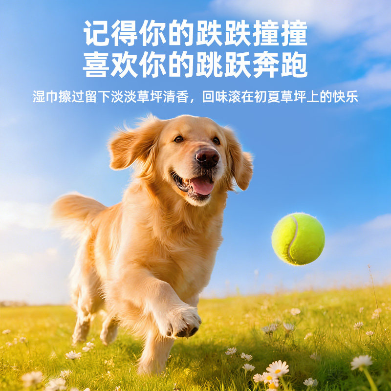 宠物湿巾狗狗专用湿巾纸猫泪痕清洁护理洗澡擦脚免洗手套产品用品,淘宝优惠券,粉丝福利购,淘宝优惠卷