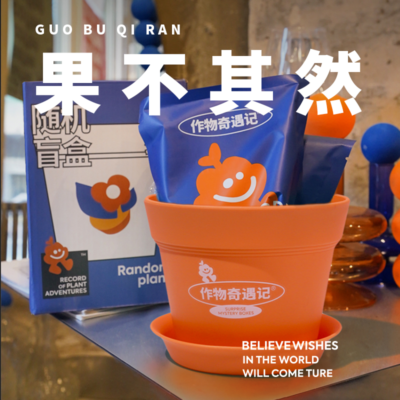 作物奇遇记植物盲盒办公室绿植桌面创意礼物卧室种植小盆新年礼物
