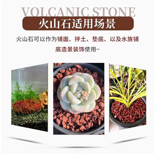 天然火山岩红火山石多肉种植颗粒兰花种植铺面鱼缸垫底花卉料铺面 - 图1