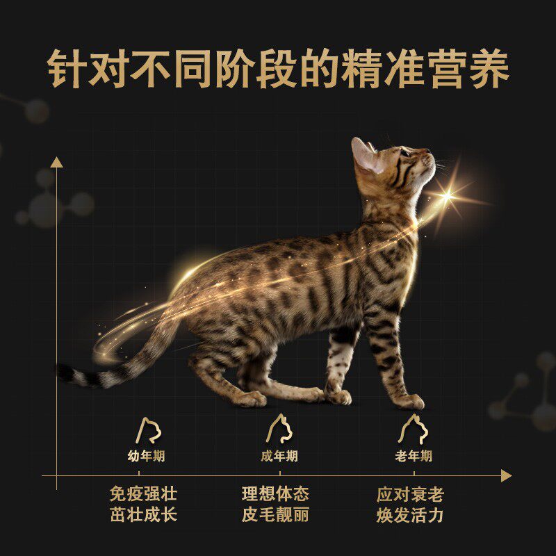 冠能成猫罐头增肥发腮主食零食罐头美国进口6罐新效期,淘宝优惠券,粉丝福利购,淘宝优惠卷