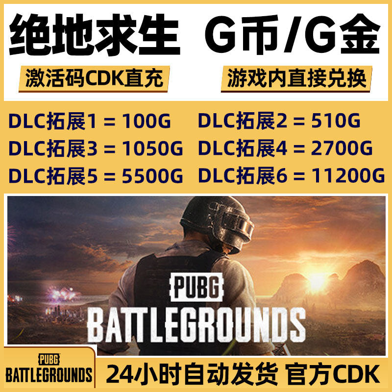 PUBGG币绝地求生G币金币吃鸡gb游戏通行证点券官方充值兑换码CDK