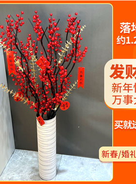 发财果落地发财果大麦套装