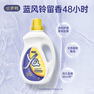 强力去渍高级香洗衣液5kg