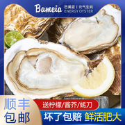 券后68元起包邮 多规格选