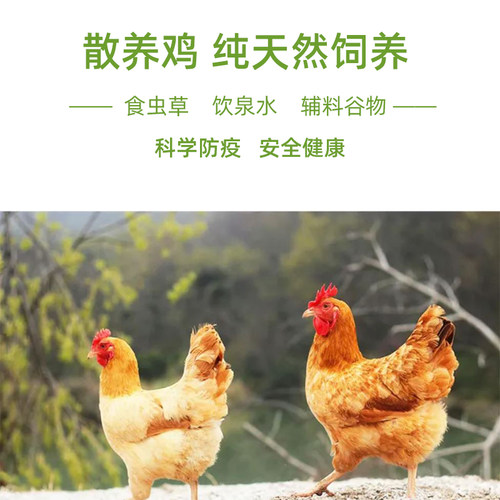 清真内蒙古鸡去骨去皮鸡腿肉生鲜新鲜冷冻汉堡专用带皮无骨鸡肉块 - 图2