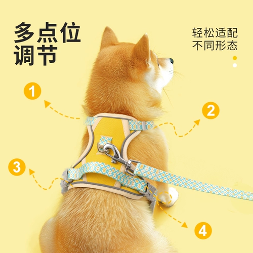Собачья сундук и спина самай-поводки среднего и большую собаку I в форме жилета специальная собака, ходячие поводки домашнего животного лето