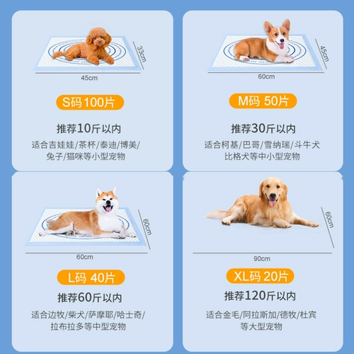 Собачья моча можно встать на фиксированное руководство по точке тренировок туалета, чтобы направлять кишечник и кишечную кошку кошачья кошка с утолщенной водой поглощение водой