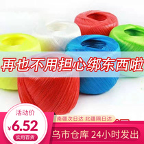 Xinjiang rope special price clearing house Books Vegetable Rope Zoral Rope Plastic Strapping Rope Fruit Tree Bundling Rope House