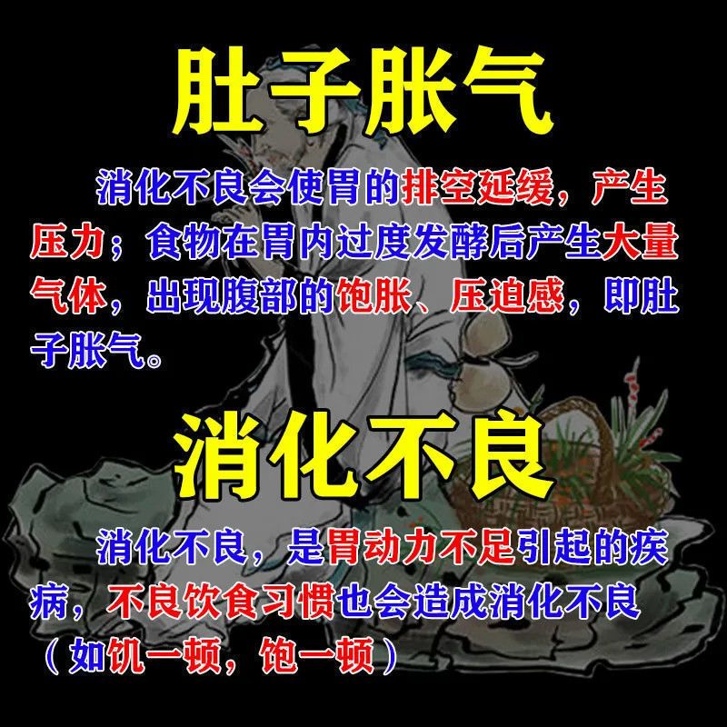 沉香化滞丸同仁堂肚子胀气屁多经常放屁调理肠胃北京陈香化气丸BS - 图3