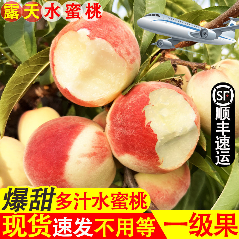 水蜜桃新鲜水果5斤桃子新鲜整箱当季现摘毛桃孕妇脆甜10顺丰礼盒