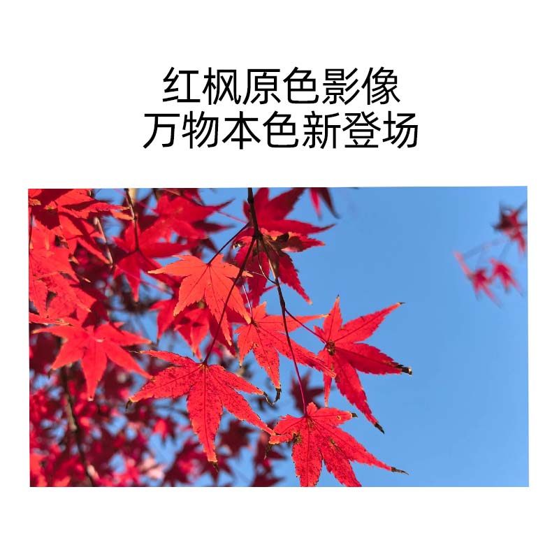 HUAWEI/��Ϊ Mate70 �ֻ� ��ʯ�� 12+256G