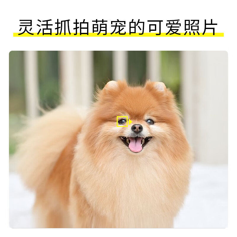  喵速达电器单电微单