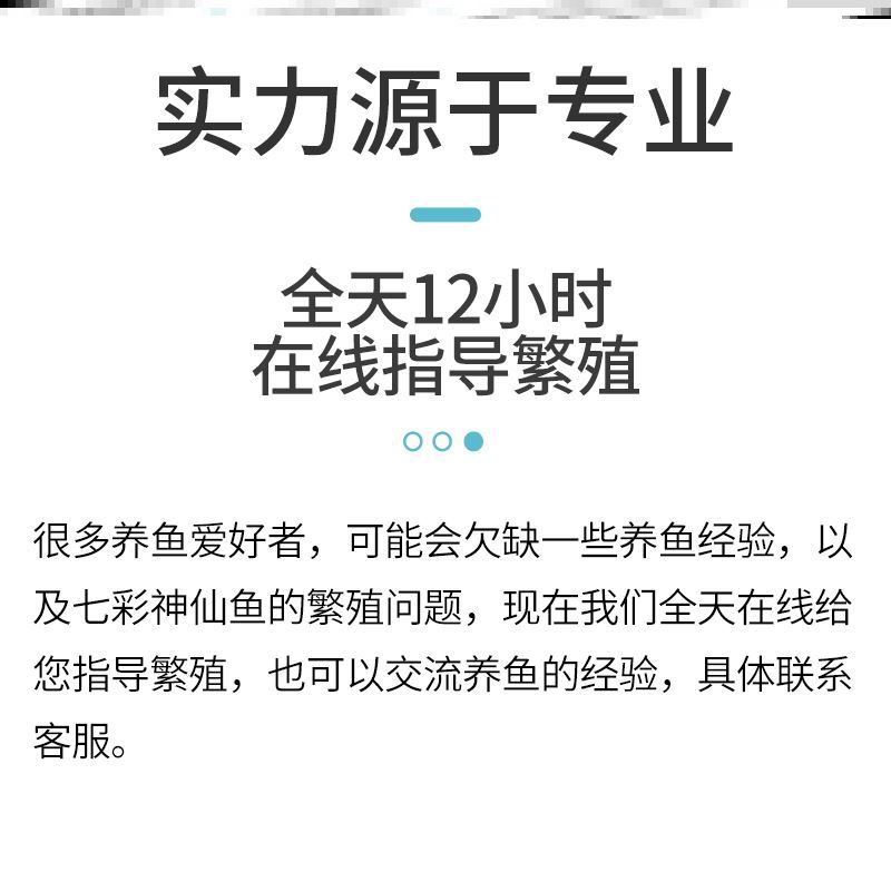 不锈钢异型鱼缸造景好用网罩鱼桶防护网石七彩神仙鱼繁殖桶产卵罐 - 图0