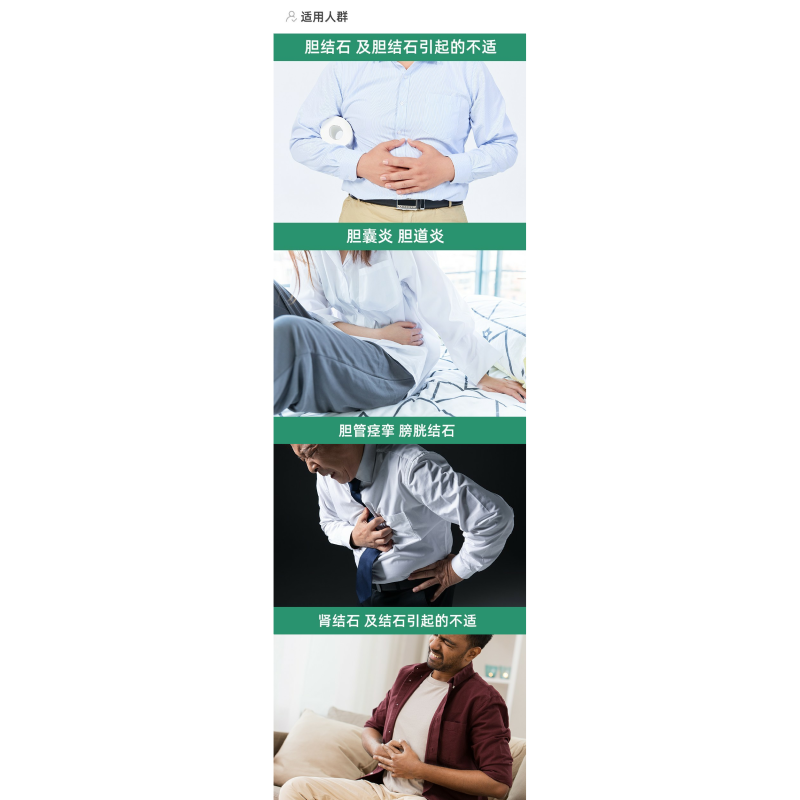 德国强力配方利石素装德华沙利胆丸 nihon医药海外国际肝胆药品