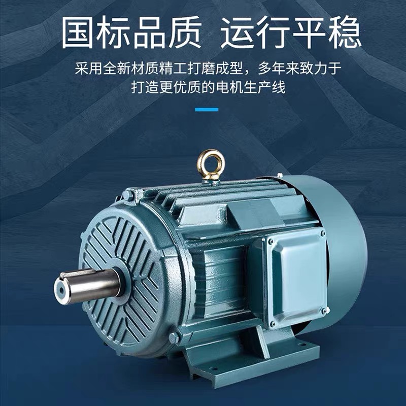 三相异步电动机Y100L2-4 3KWYE3100L-6 1.5KW2.2/1.1全铜国标380V - 图0