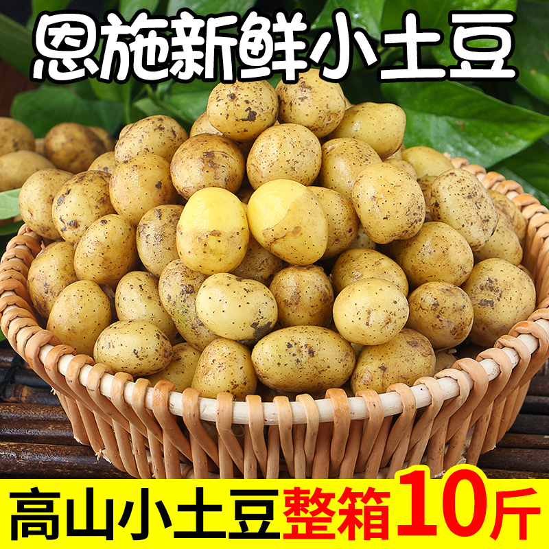 正宗恩施小土豆10斤包邮新鲜士豆黄心南方富硒蔬菜迷你马铃薯洋芋