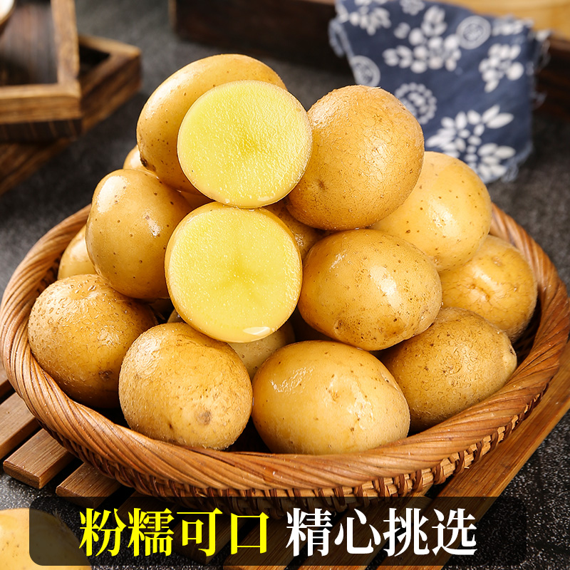 正宗恩施小土豆10斤包邮新鲜士豆黄心南方富硒蔬菜迷你马铃薯洋芋