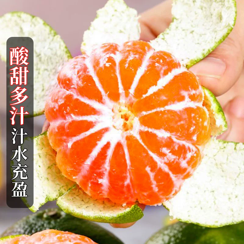 [高山蜜桔无籽顺丰包邮新鲜当季时令水果宜昌橘子水果10整箱斤柑橘]