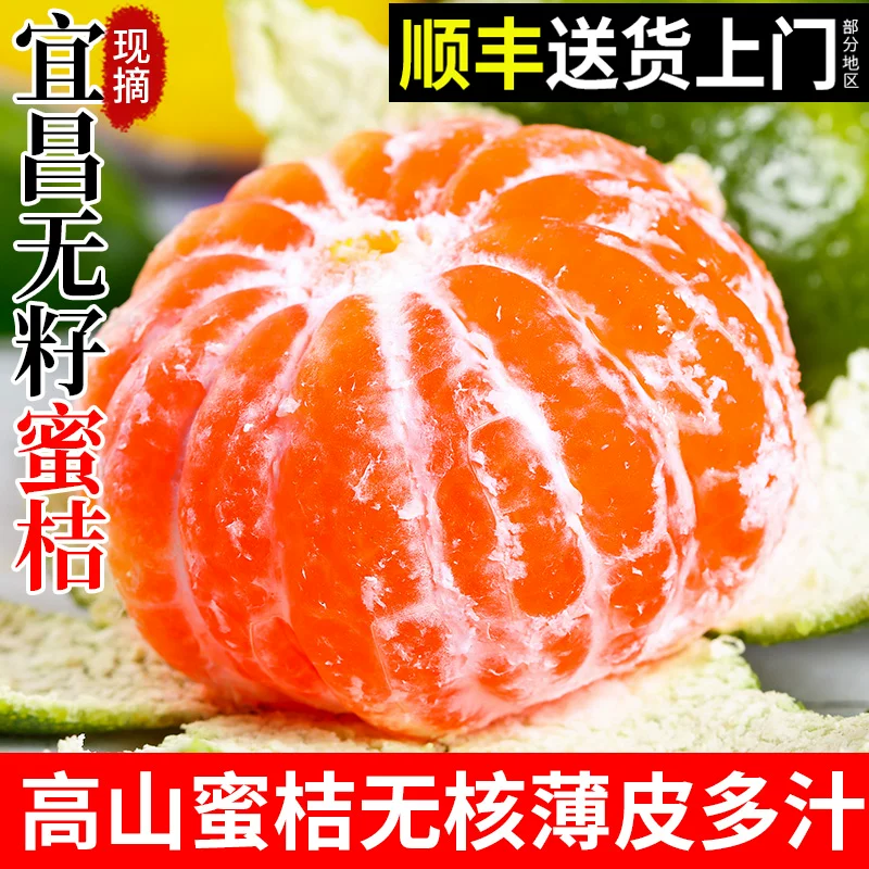 [高山蜜桔无籽顺丰包邮新鲜当季时令水果宜昌橘子水果10整箱斤柑橘]