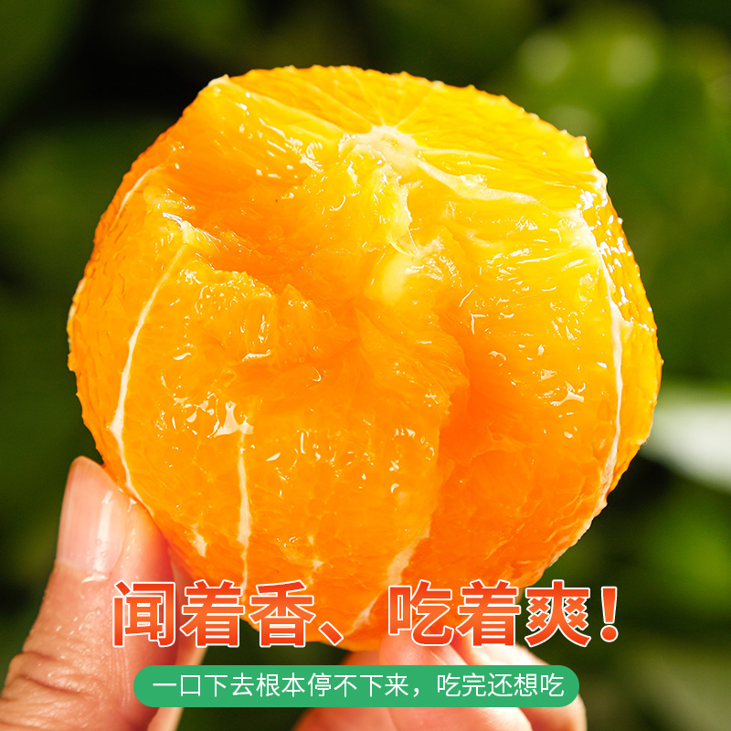 湖北秭归伦晚春橙脐橙新鲜时令应季水果新鲜大果整箱包邮冰糖甜橙