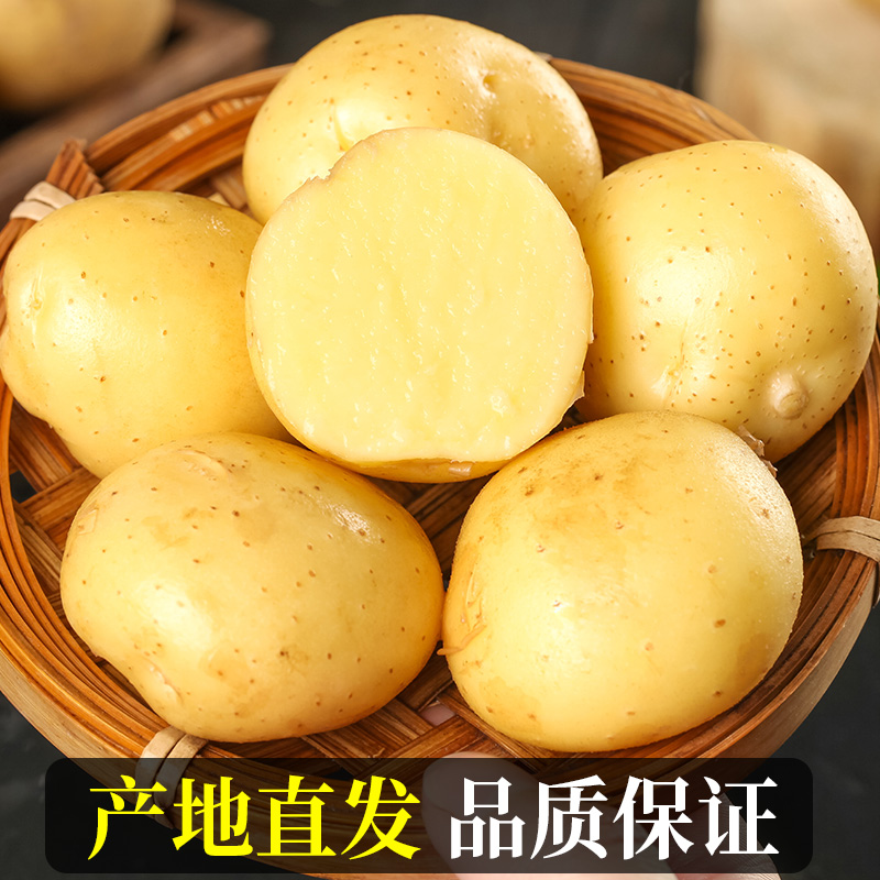 正宗恩施小土豆10斤包邮新鲜士豆黄心南方富硒蔬菜迷你马铃薯洋芋