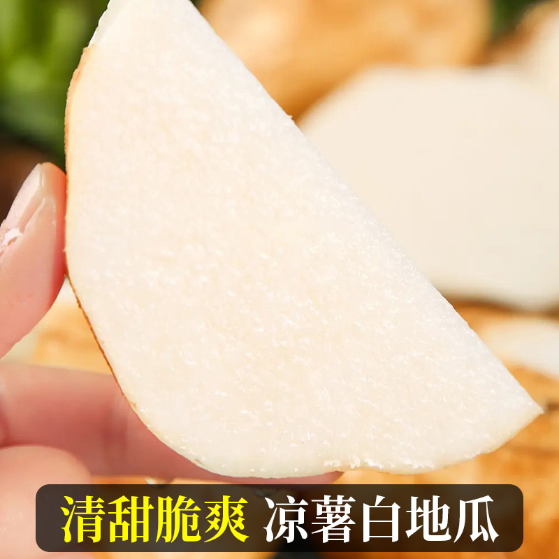 广西白心地瓜新鲜现挖当季蔬菜农家9斤凉薯豆薯番薯沙葛山芋包邮