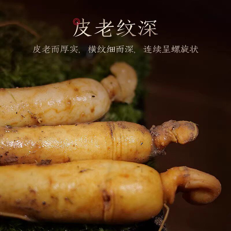  生物圈人参/园参及其制品