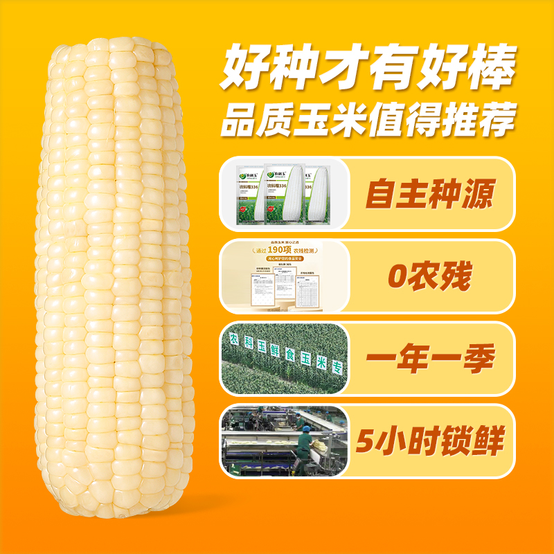 玉米甜糯玉米东北苞米真空装包装袋新鲜粘糯玉米农科玉官方10根装