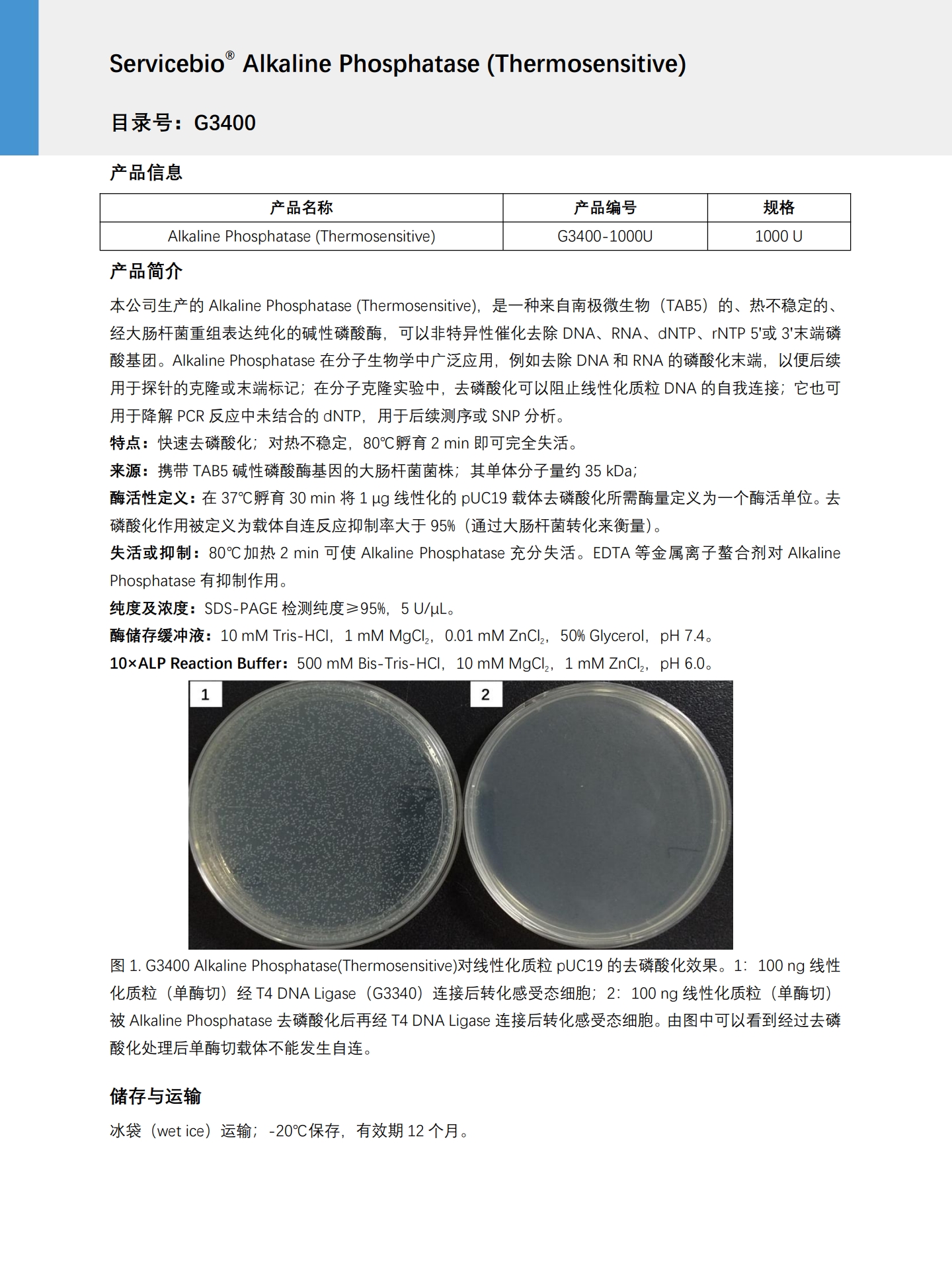 Servicebio碱性磷酸酶(热敏感)AlkalinePhosphatase ,G3400-1000U - 图2