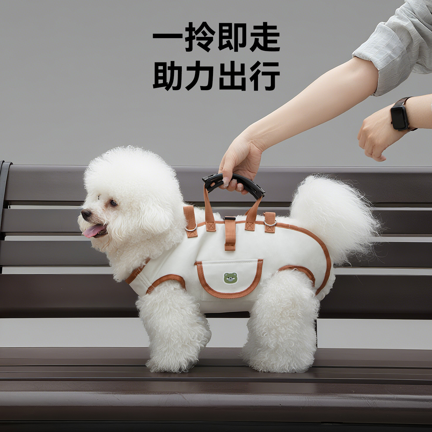 狗狗外出便携包斜挎横向狗包猫包单肩手提包户外出门牵引宠物背包 - 图2