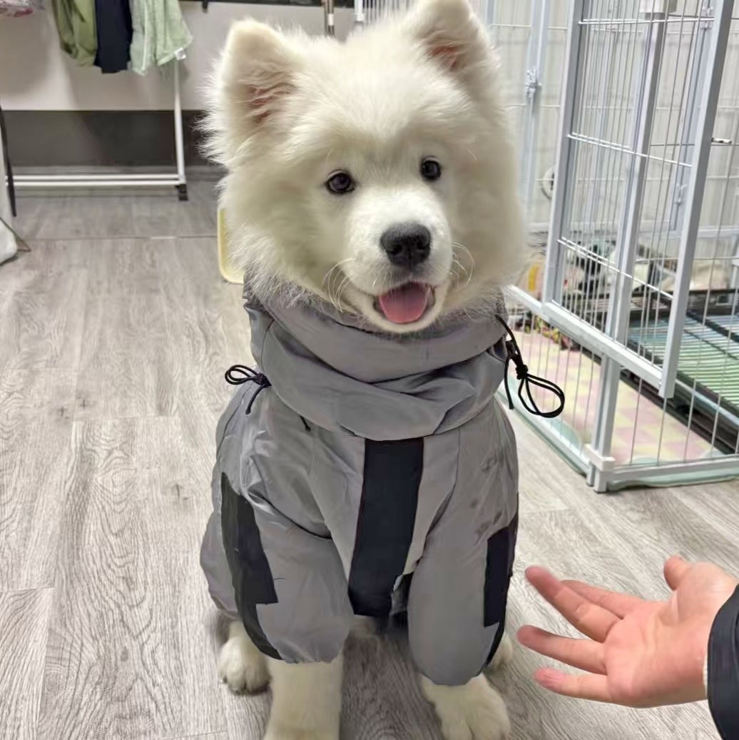 秋冬款宠物衣服四脚连体衣萨摩耶拉布拉多金毛中大型犬帅气冲锋衣,淘宝优惠券,粉丝福利购,淘宝优惠卷