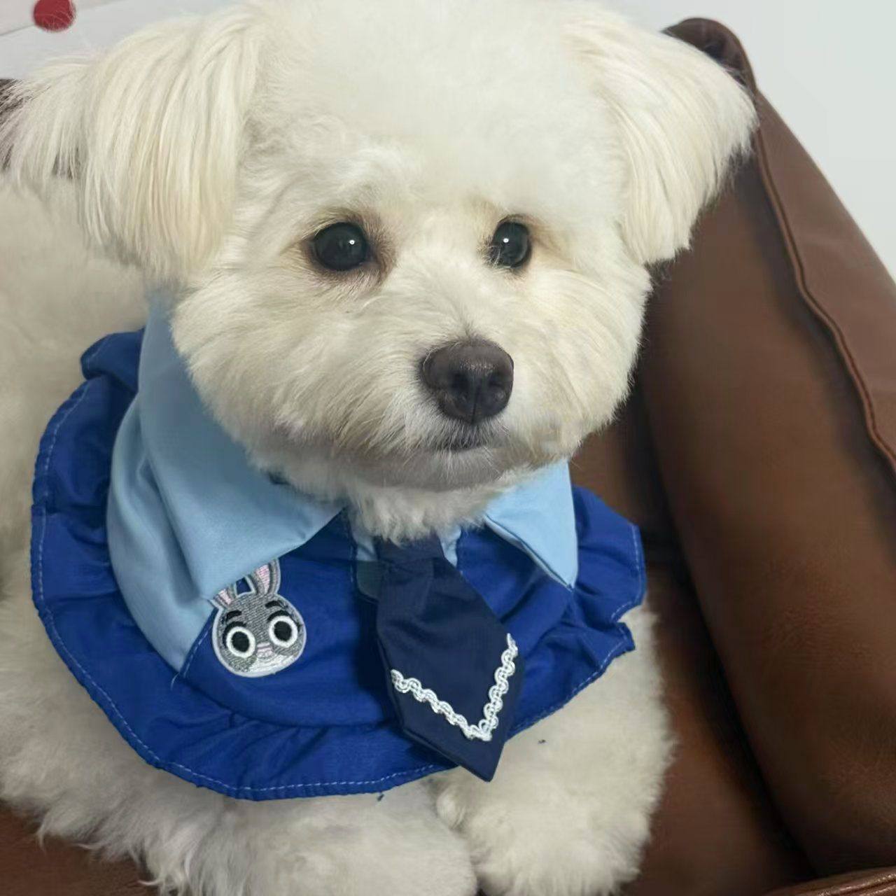 25新品宠物口水巾可调节双面狗狗三角巾口水围兜宠物衣服配饰围嘴,淘宝优惠券,粉丝福利购,淘宝优惠卷