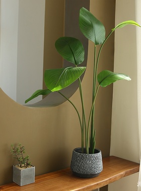 仿真绿植胶布旅人蕉现代简约热带植物天堂鸟室内家居摆件陈设绿植