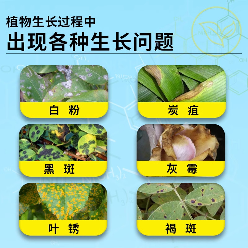 花叶康病喷雾护理活性剂烂根卉多肉灰霉叶斑黑斑白粉旗舰店杀菌剂,淘宝优惠券,粉丝福利购,淘宝优惠卷