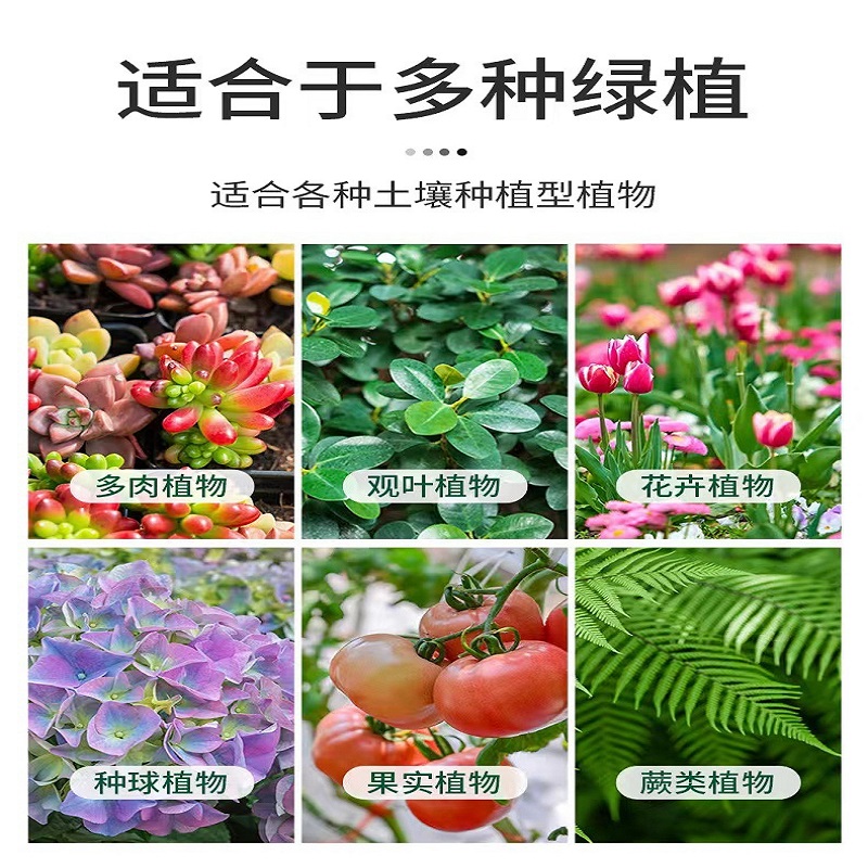 多肉植物黑斑病白粉病专用多菌灵兰花纹枯-图2