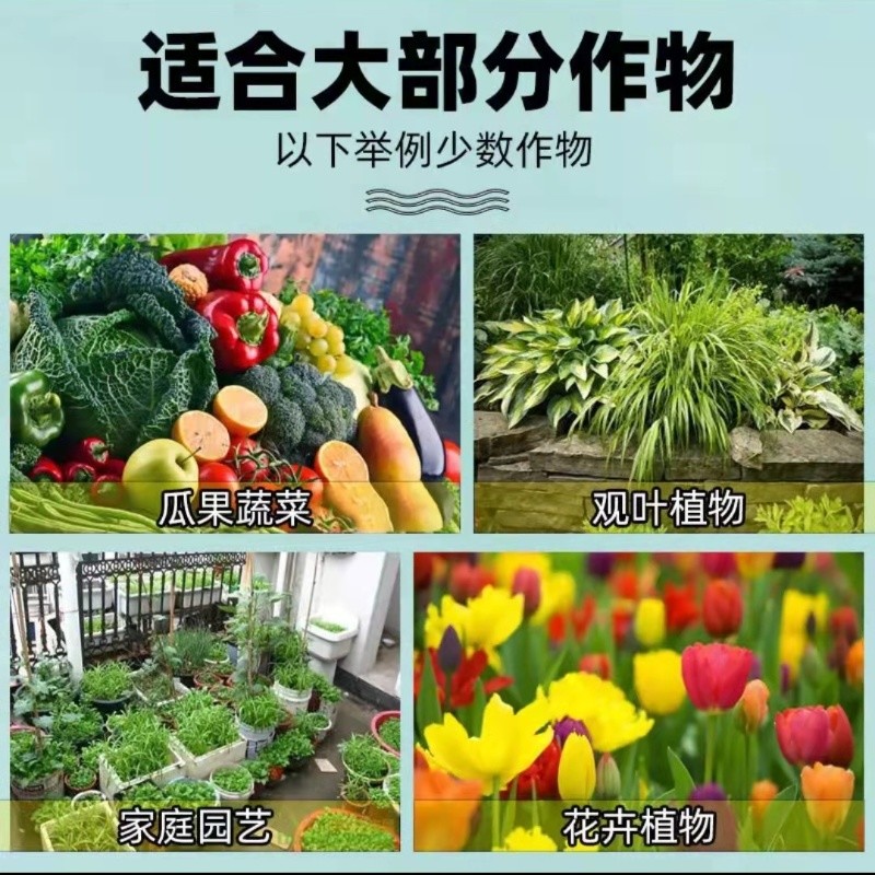 园艺防虫片糖化硼肥片花卉杀虫片防虫颗粒小黑飞蚜虫蓟马白粉虱-图1