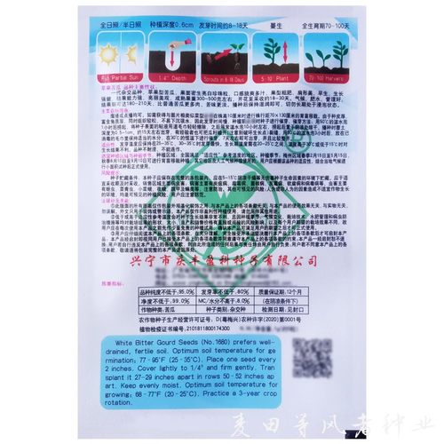台湾白苹果苦瓜种子生吃不苦四季蔬菜农家庭院阳台盆栽春季播种籽 - 图2