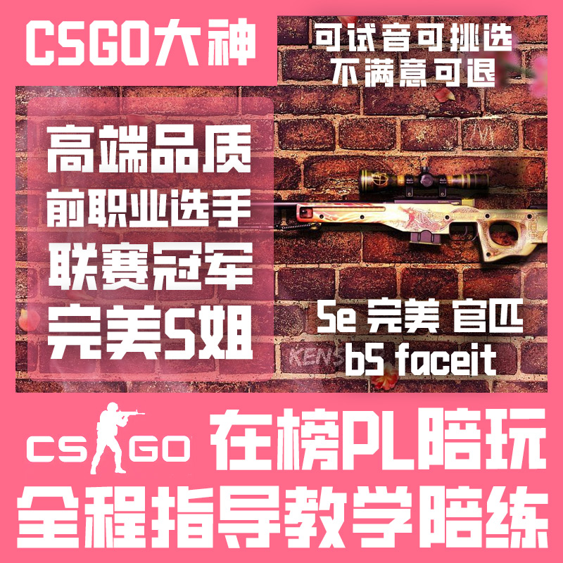 CSGO陪玩陪练代练教学技术娱乐女陪职业哥5E完美B5官匹快乐妹车-图0