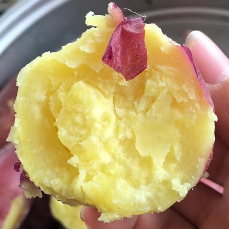 【圆果】正宗海南澄迈桥头富硒地瓜新鲜现挖板栗红薯黄心番薯粉糯