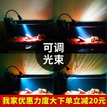 Net Red Class Native Stream Cylinder Light Native three lakes Water Grass South American Scenery Special Floodlight Zoom Fish Tank Spotlight