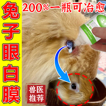 Rabbit eye drops with white film pet eye drops anti-inflammatory conjunctivitis red eye fluid lacrimal eye rabbit special medicine