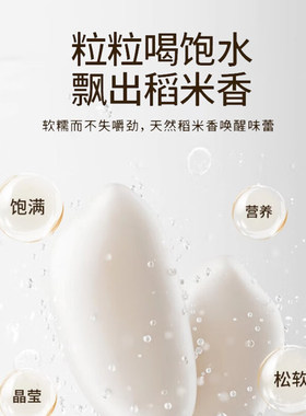 九阳0氟内胆电饭煲3L珐琅瓷釜家用蒸煮多功能智能预约新款电饭锅