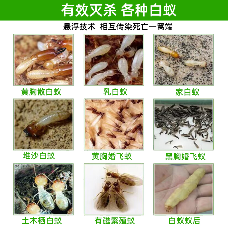 白蚁防治专用药全窝端家用粉水除预防装修园林一巢灭飞蚂蚁杀虫剂 - 图1