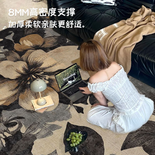 法式复古地毯客厅2026新款轻奢高级感沙发茶几毯卧室床边毯大面积 - 图0